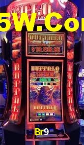 VIP Casino Br9