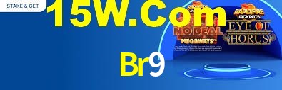 Programa VIP Br9